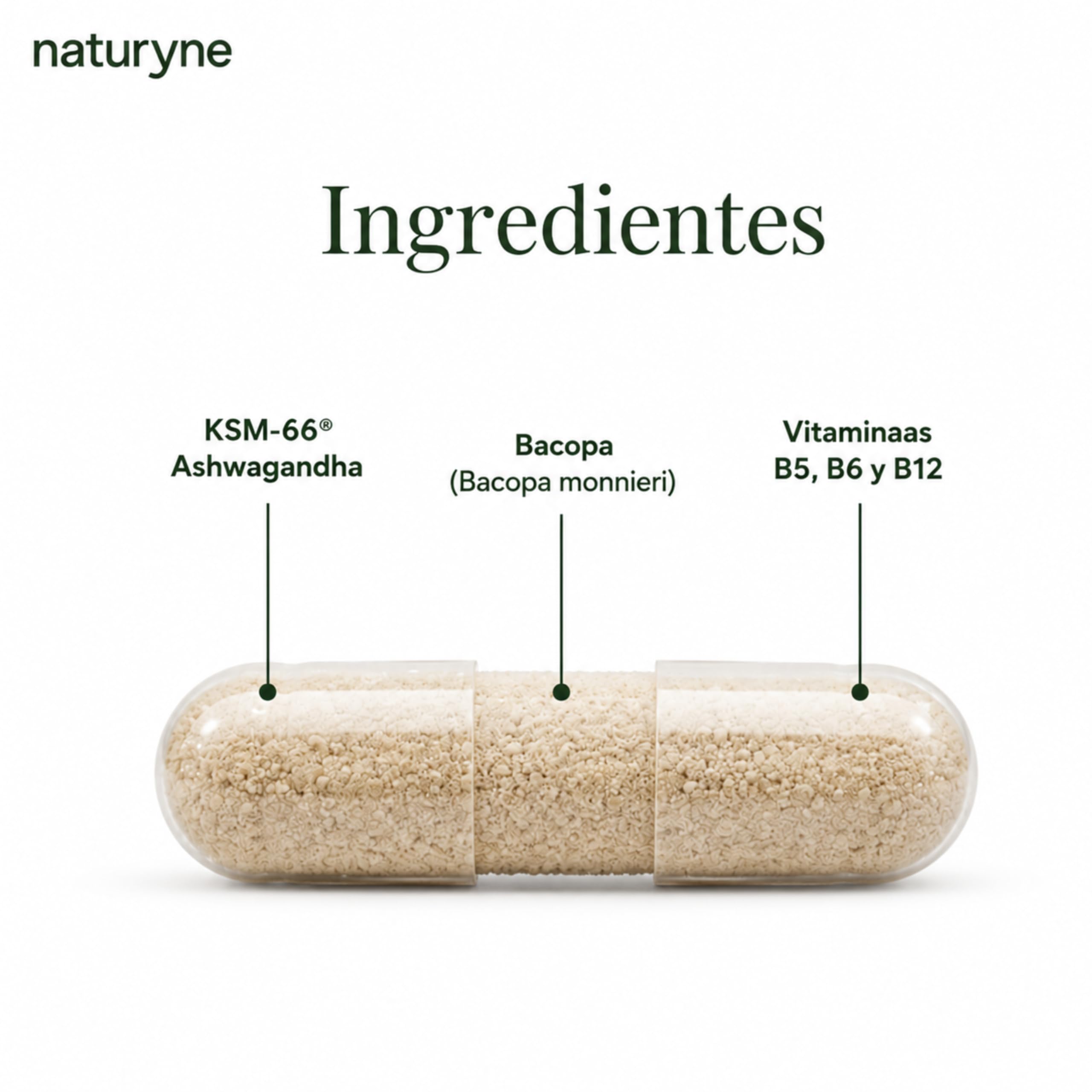 Naturyne – Ashwagandha Complex KSM-66® – Ashwagandha con Bacopa y Rhodiola Rosea – Vitaminas B5, B6 y B12 – Complejo Adaptógeno y Nootrópico – 90 Cápsulas Veganas – Sin Gluten
