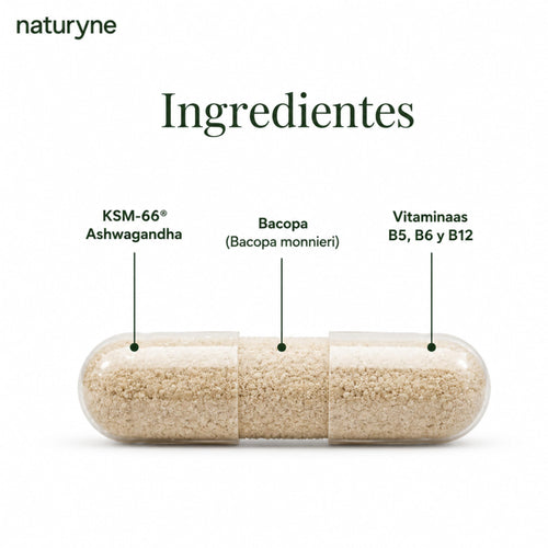 Naturyne – Ashwagandha Complex KSM-66® – Ashwagandha con Bacopa y Rhodiola Rosea – Vitaminas B5, B6 y B12 – Complejo Adaptógeno y Nootrópico – 90 Cápsulas Veganas – Sin Gluten